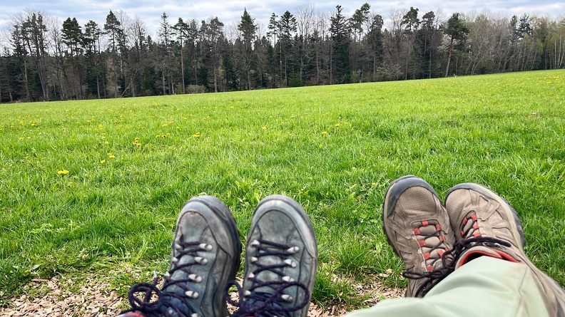 23-04-30 14-16-26 5245.jpeg